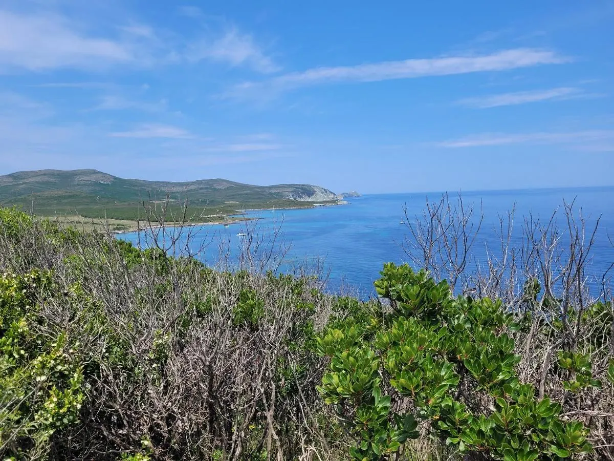 Studio La Moutonne Tt Equipe 20 M2 10Mn Plages- Hyeres - Tres Calme- La Crau France